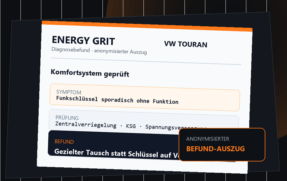 Professioneller anonymisierter Diagnosebefund-Auszug für VW Touran